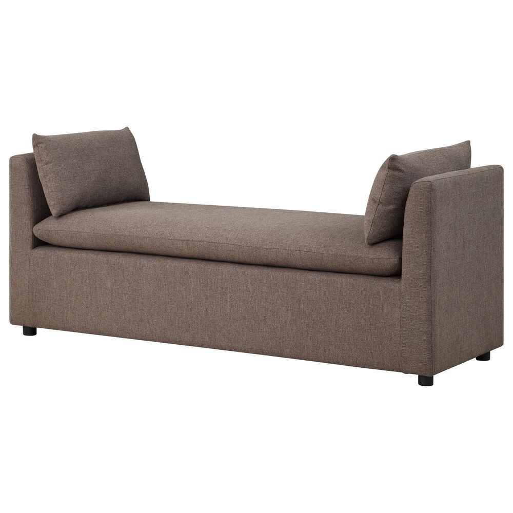 Coaster Robin Accent Bench in Black, , large