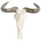 Maple and Jade 12" x 16" Farmhouse Cow Skull Wall Decor in White and Brown, , large