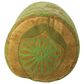 Teak Interiors Botanist 21" x 7" Bolster Throw Pillows in Green, , large