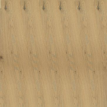 Bella Cera Monza Bivio Oak Hardwood, , large