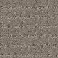 Anderson Tuftex Lyric Carpet in Connected, , large