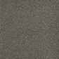 Dream Weaver PS260 Carpet in Baltic Birch, , large