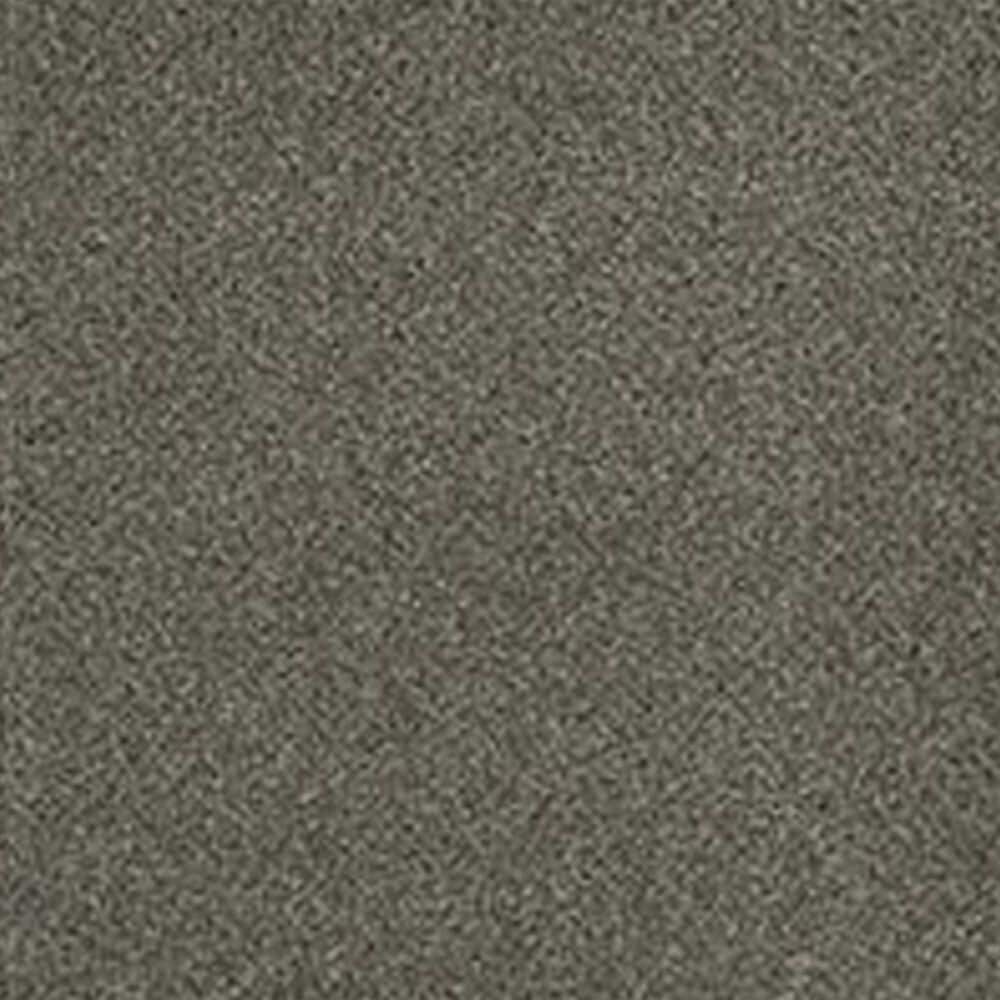 Dream Weaver PS260 Carpet in Baltic Birch, , large