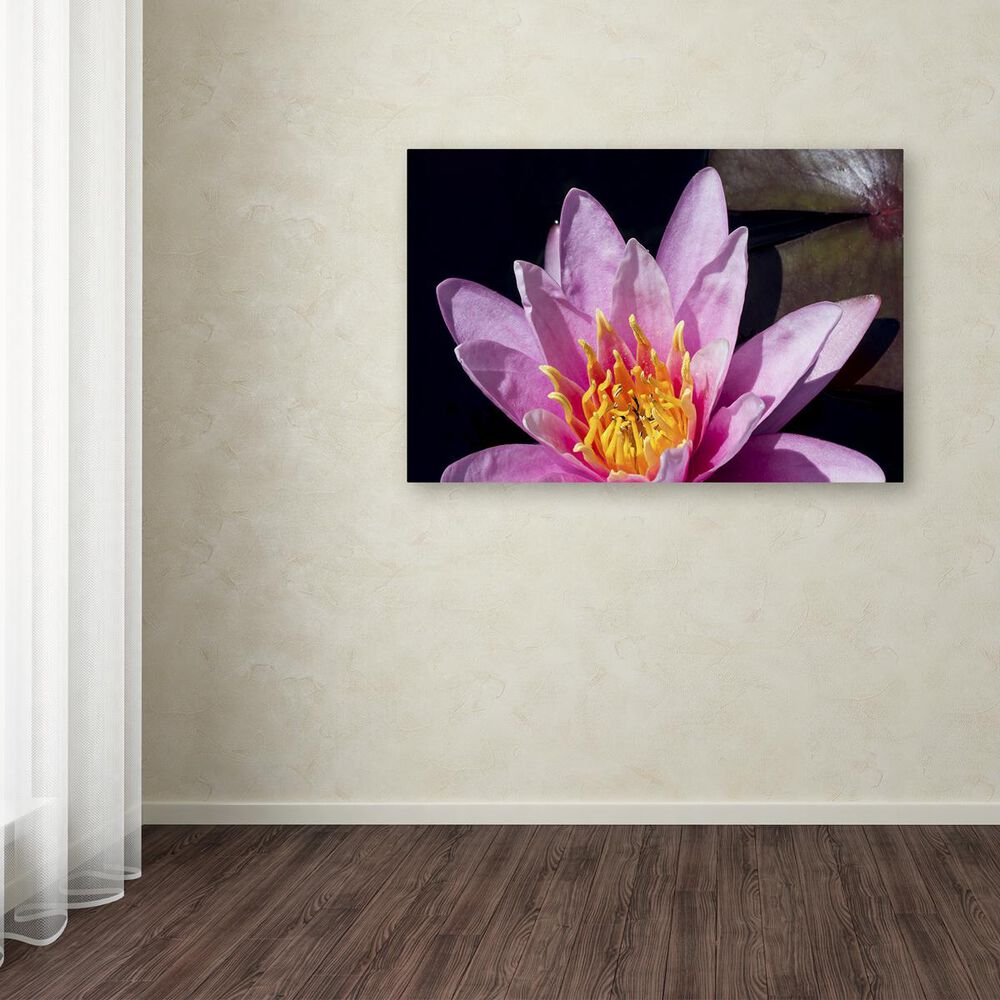 Timberlake 22&quot; x 32&quot; Kurt Shaffer Pink Water Lily Canvas Art, , large