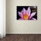 Timberlake 22" x 32" Kurt Shaffer Pink Water Lily Canvas Art, , large