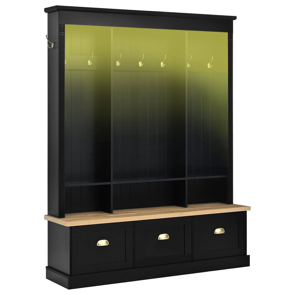 HOMLUX 9-Hook Hall Tree with 3-Cabinet in Black and Natural, , large