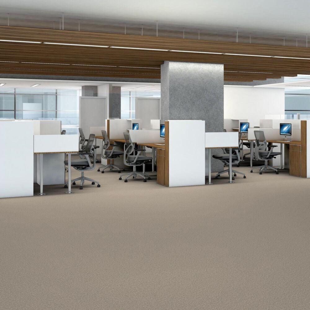 Shaw You Got This III Carpet in Natural, , large