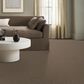 Anderson Tuftex Terra Nova Carpet in Joshua Tree, , large
