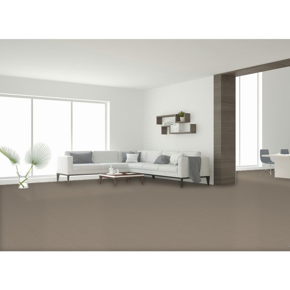 Dream Weaver East Hampton 2550 Carpet in Acorn, , large