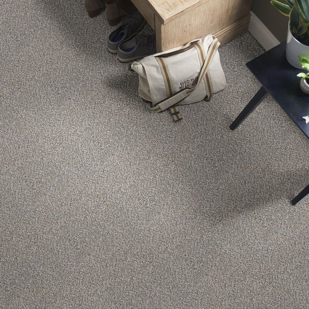 Shaw Simply the Best Cabana Life Carpet in Granite, , large