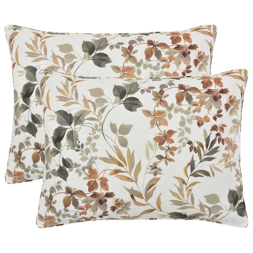 Royal Court Evergreen 4-Piece Full Comforter Set in Sage, , large