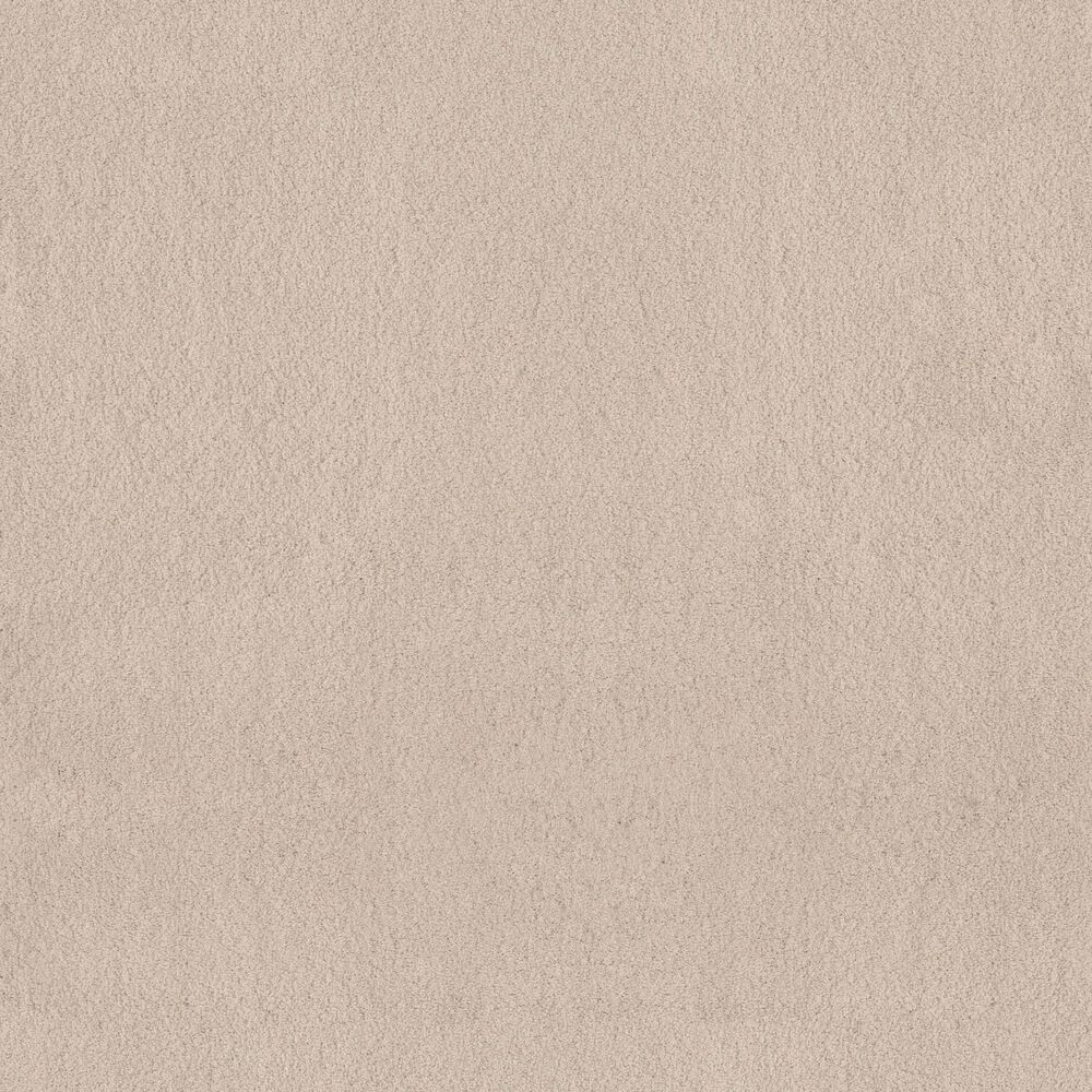 Anderson Tuftex Luxe Feel I Carpet in Heirloom, , large