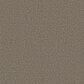 Shaw Renewed Energy I Carpet in Countryside, , large