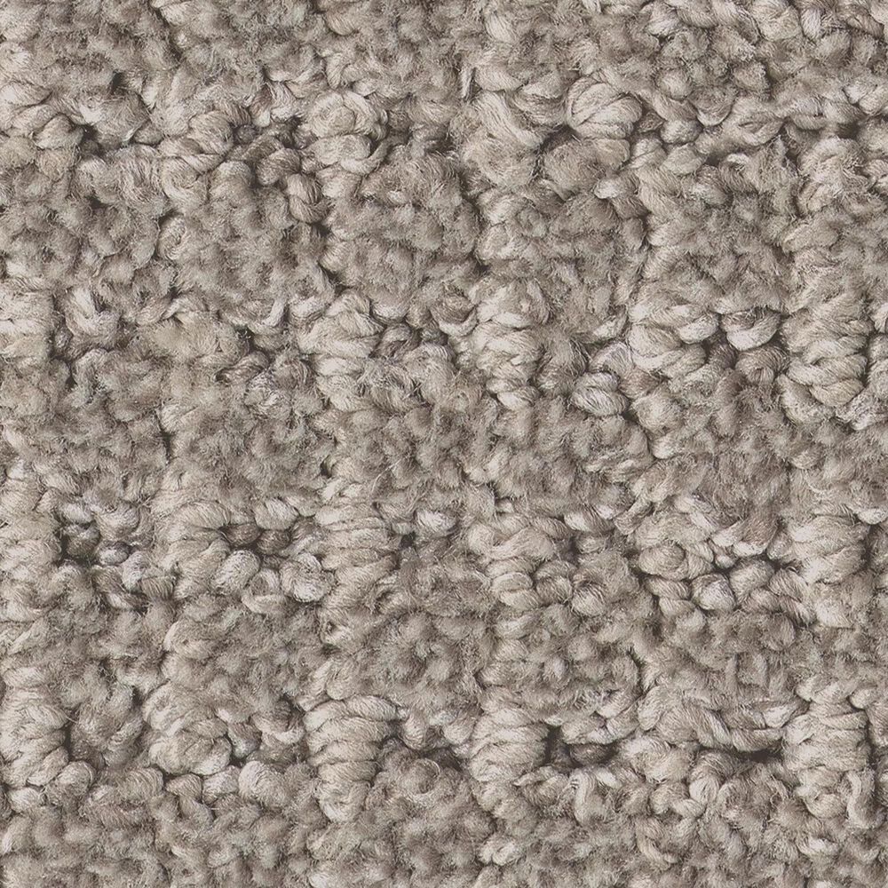 Anderson Tuftex Rhode Carpet in Fish Hook, , large