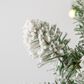 The Gerson Company 4.5" Heavy Flocked Christmas Alpine Tree in Green, , large