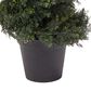 Timberlake 4" Artificial Spiral Cypress Topiary Tree with Pot in Green, , large
