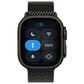Apple Watch Ultra 3 (GPS+Cellular) 49mm Titanium Case with Titanium Milanese Loop - Large in Black and 2-Year AppleCare+, , large