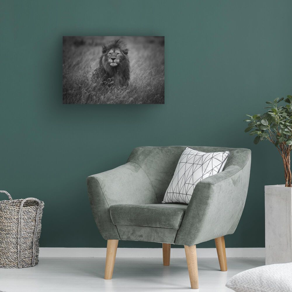 Timberlake Mohammed Alnaser &#39;Lion King&#39; 12&quot; x 19&quot; Canvas Art in Grey/Black, , large