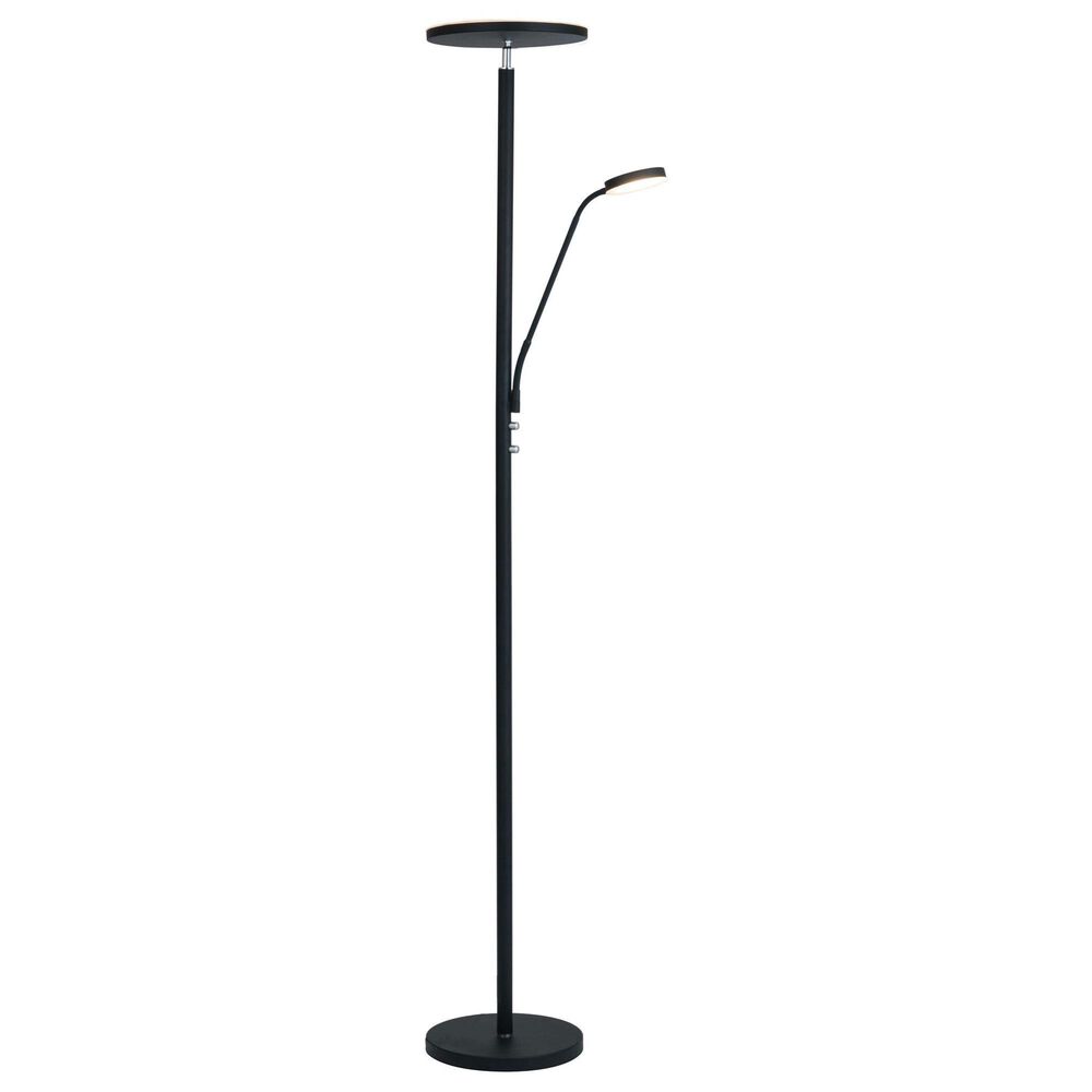 Lite Source Monet Floor Lamp in Black, , large