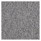 Shaw Sound Advice 24" x 24" Carpet Tile in Get Along, , large
