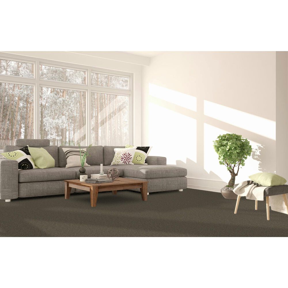 Dream Weaver Blazer II Carpet in Casa Marina, , large