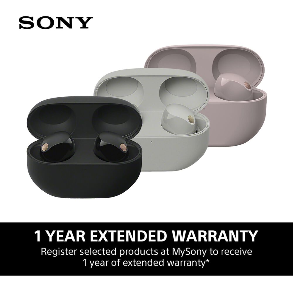 Sony Wireless Noise Cancelling Earbuds in Smoky Pink, , large