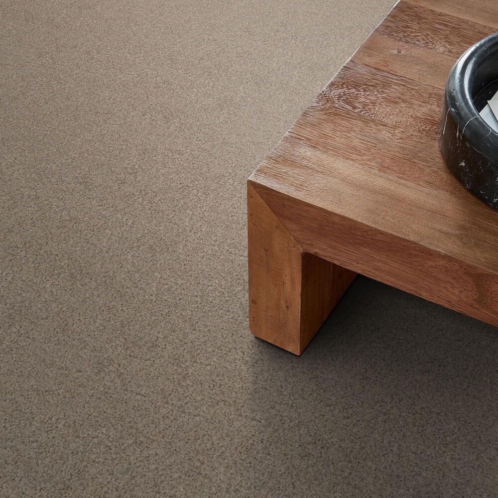 Anderson Tuftex West Peak Carpet in Sheffield, , large