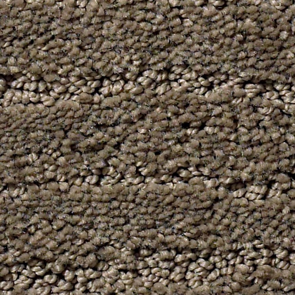 Anderson Tuftex Pose Carpet in Dash, , large