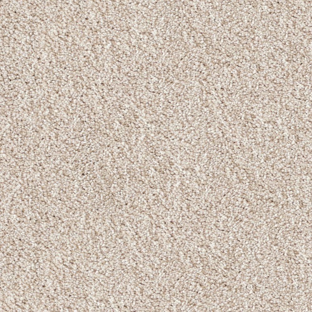 Dixie Home Swiss Alpine Carpet in Corgi, , large