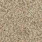 Mohawk Raise The Woof II Carpet in Bisque, , large