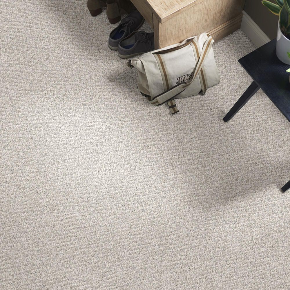 Shaw Detailed Statement Loop Carpet in Textured Canvas, , large