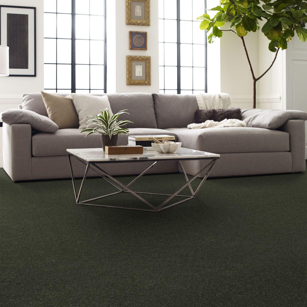 Shaw Hard At Play Iii Carpet in Rerooted Nature, , large