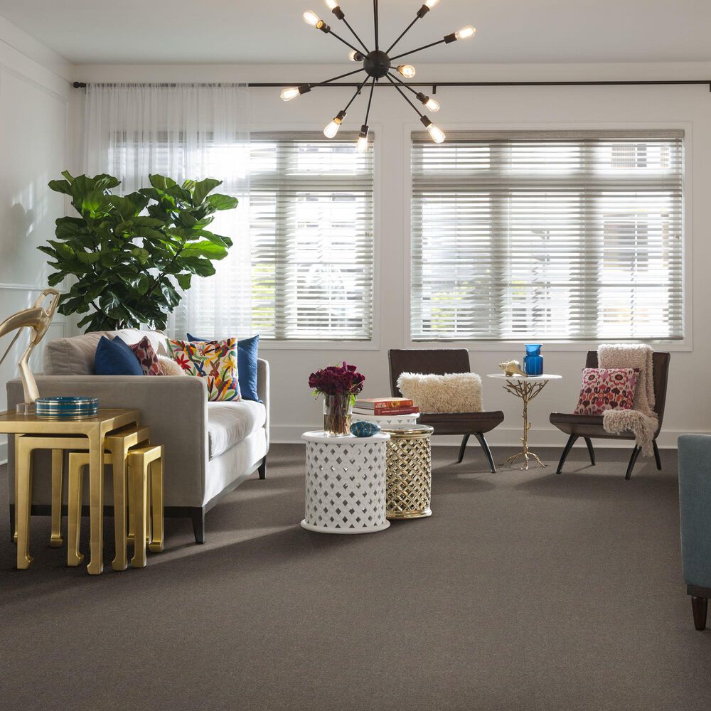 Shaw Simply the Best Attainable Carpet in Smooth Taupe, , large
