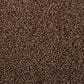 Masland Granique Carpet in Tiger Eye, , large