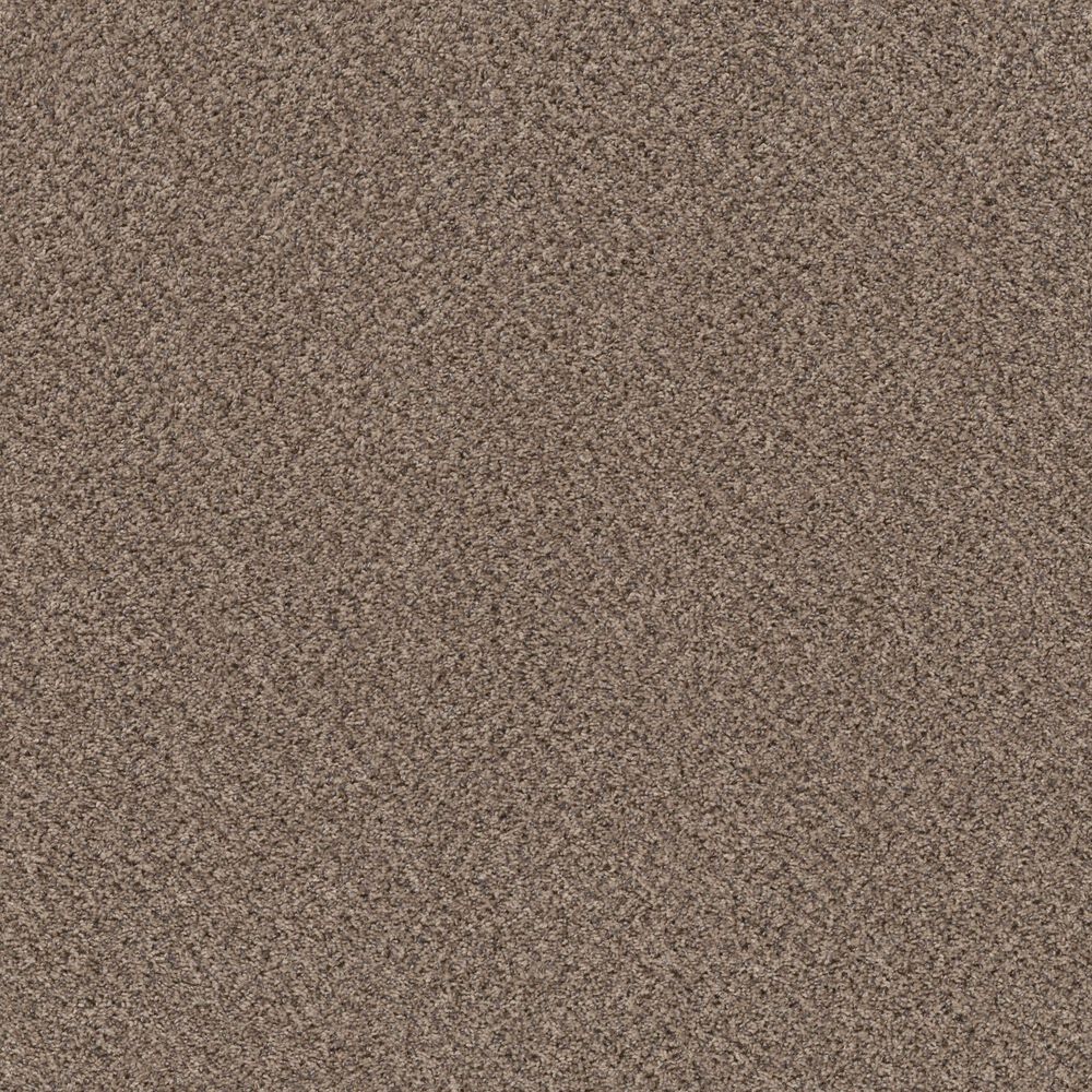 Philadelphia Mixed Essentials Carpet in Primitive, , large