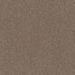 Philadelphia Mixed Essentials Carpet in Primitive, , large