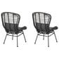 Hearth and Haven Frazer Patio Rattan Chair with Gray Cushion in Black (Set of 2), , large