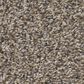Shaw Remixed Classic Carpet in Nutria, , large