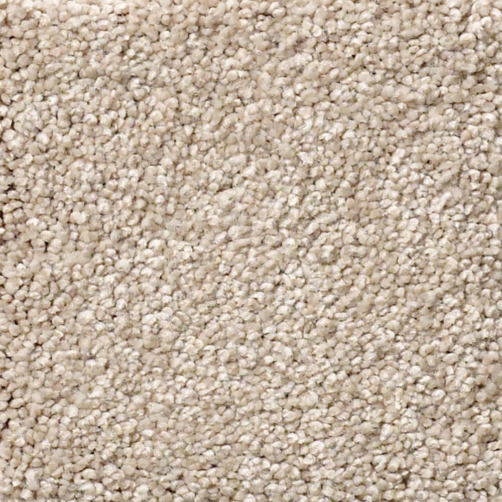 Shaw Your Comfort I Carpet in My Haven, , large