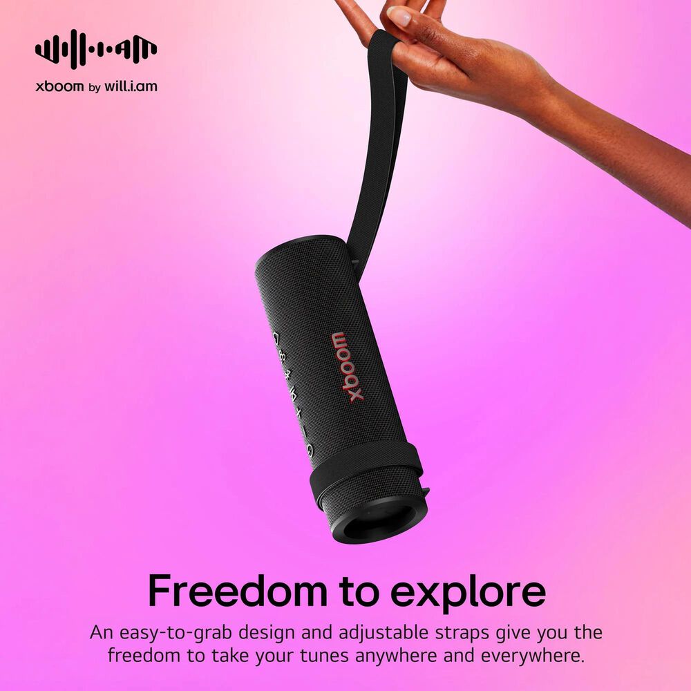 LG Xboom Grab Core Bluetooth Speaker in Black, , large