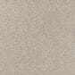 Karastan Victoria Peak II Carpet in Briarwood, , large
