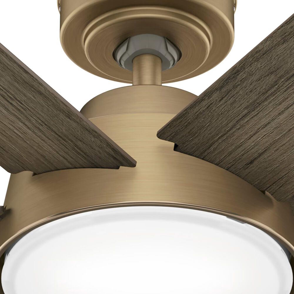 Hunter Donatella 52&quot; Ceiling Fan with LED Lights in Burnished Brass, , large
