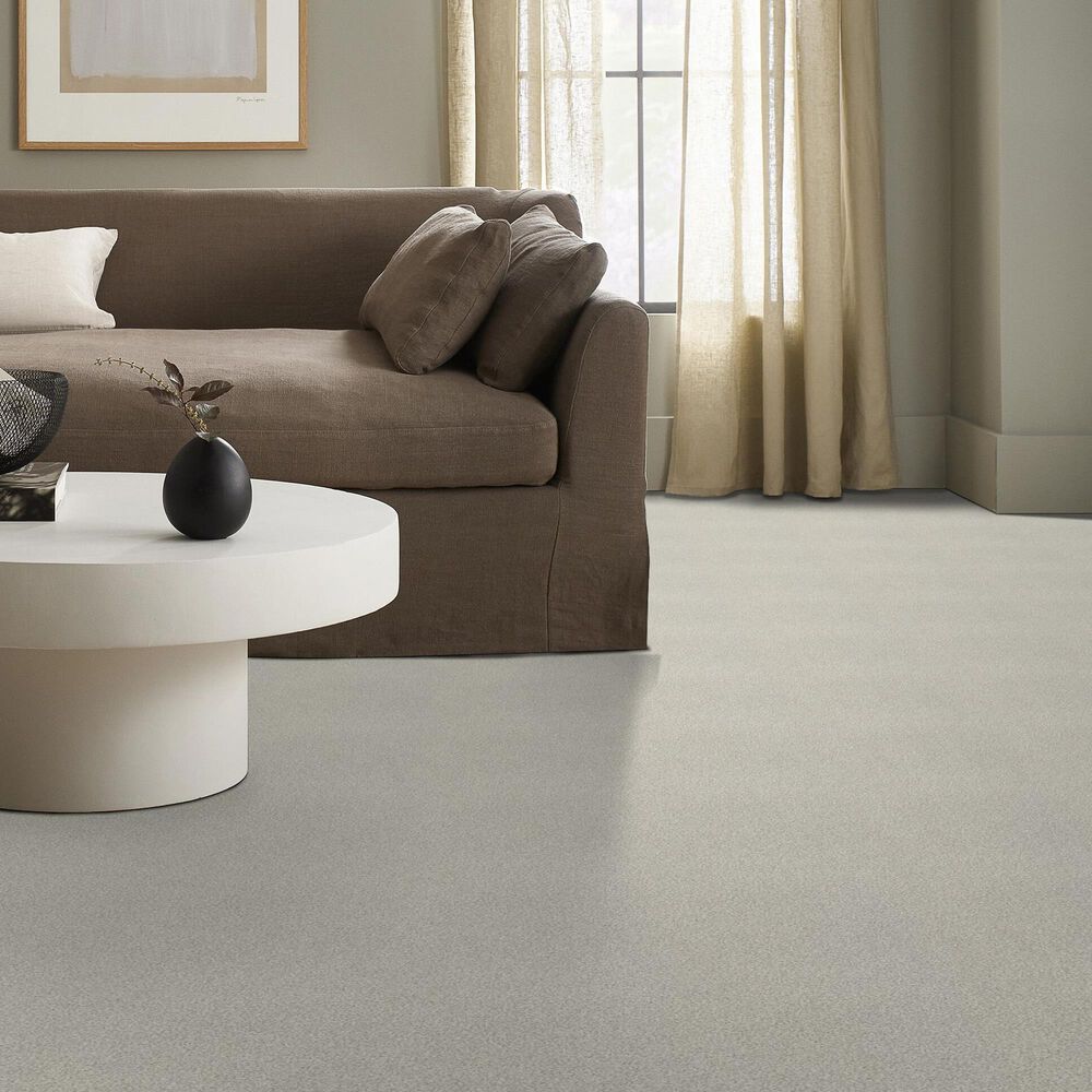 Shaw Tonal Comfort I Carpet in Need A Hug, , large