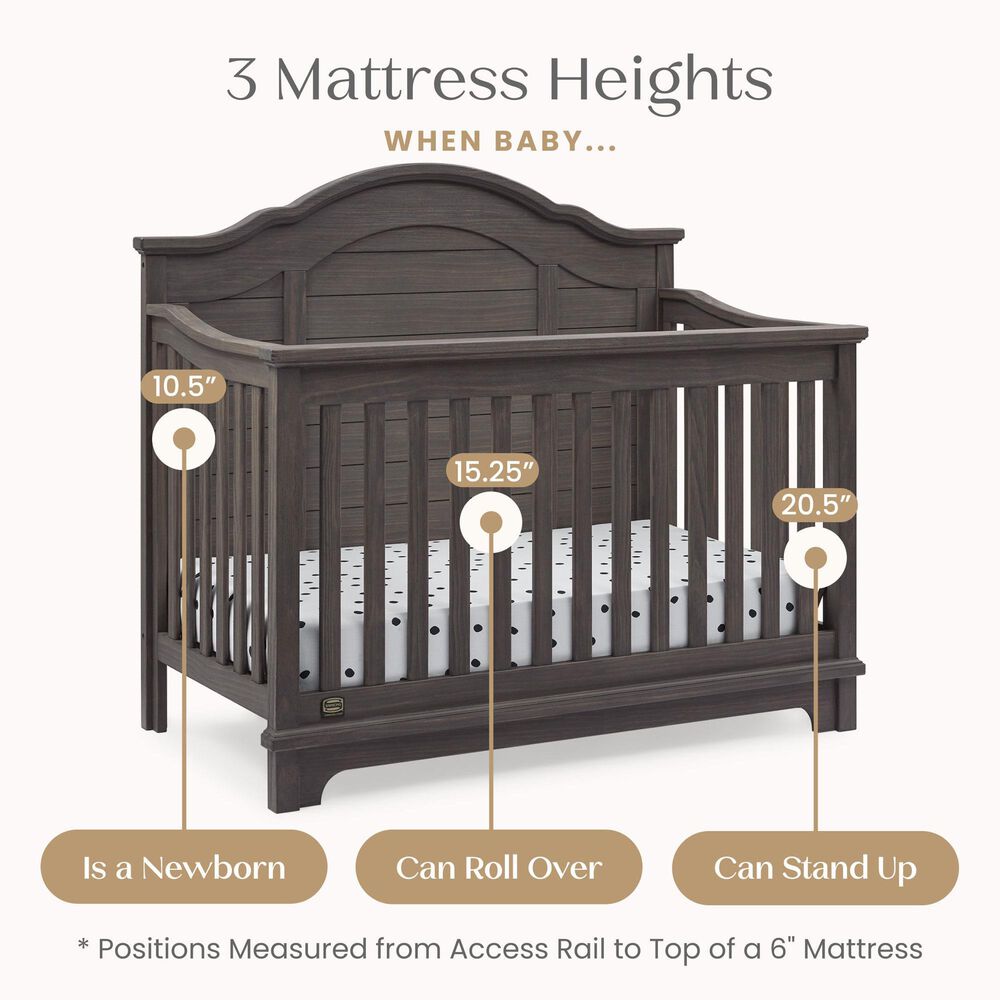 Delta Children Asher 6-In-1 Convertible Crib in Rustic Grey, , large
