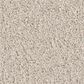 Philadelphia Champagne Taste I Carpet in Soft Sense, , large