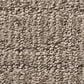Shaw Wanderer Carpet in Stonish, , large