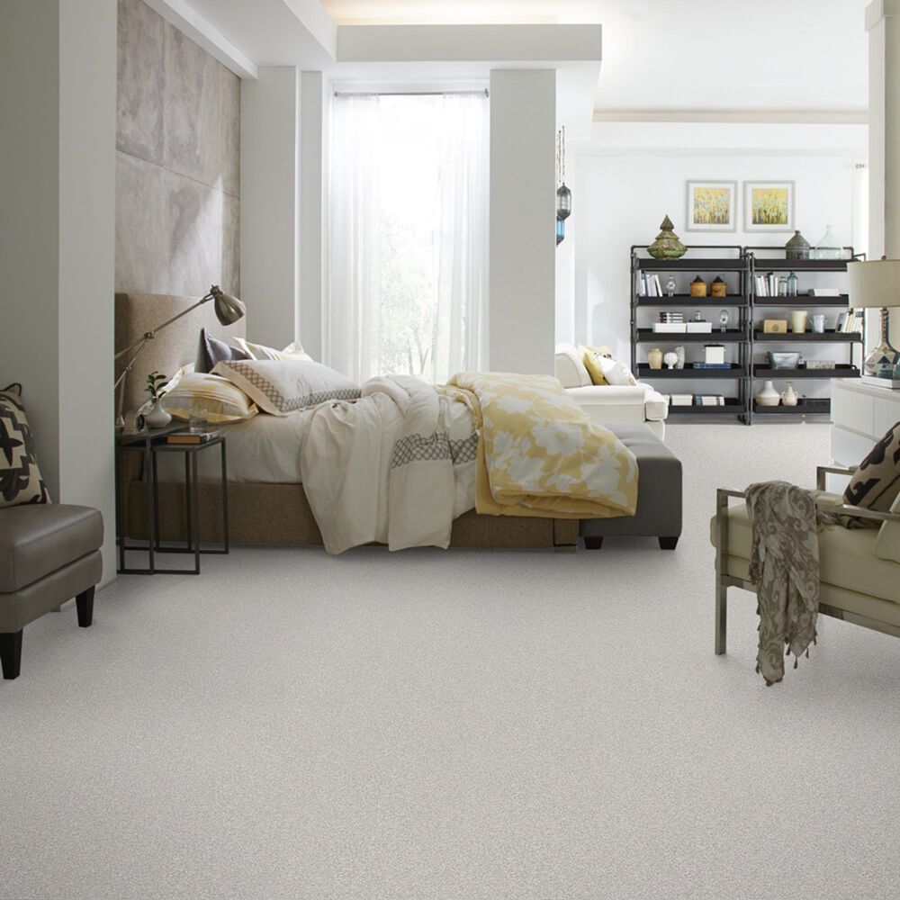Shaw Foundations Take The Floor Tonal I Carpet in Classique, , large