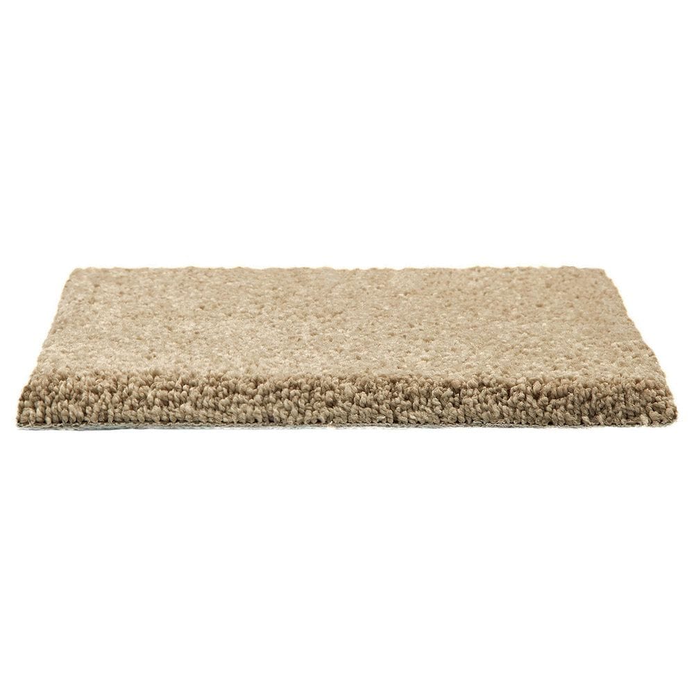 Mohawk Pleasant Touch Carpet in November Foliage, , large