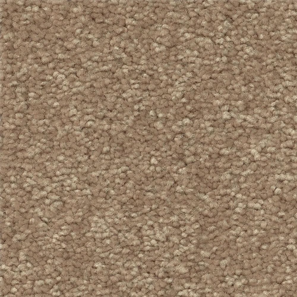 Shaw Easy Spirit I 12" Carpet in Stone House, , large