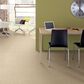 Anderson Tuftex Private Retreat Carpet in Sheer Sunlight, , large